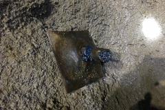 Altecrete-gallery-20